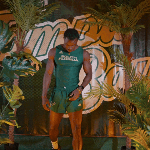 South Florida Horns Up GIF by USF Athletics