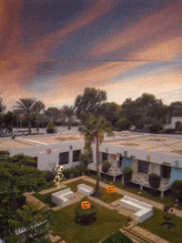 BravoClubFrance halloween ghost cam ahhh GIF