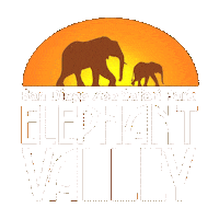 Walk Elephant Sticker by San Diego Zoo Wildlife Alliance