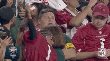 Arizona Cardinals Football GIF by NFL