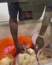 Ice Cream GIF