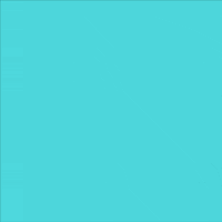 animation cat GIF by Natt Rocha