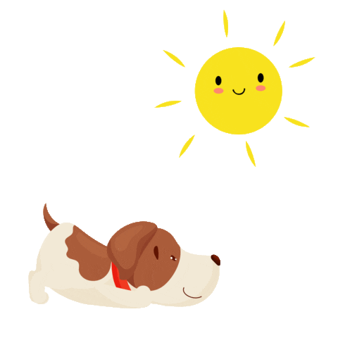 Dog Sun Sticker by Petland Florida