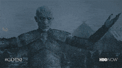 Hbo GIF by Game of Thrones