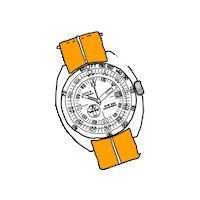 Omega Sticker by Watch Obsession