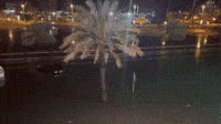 Lights of Dubai Reflected in Floodwater in Nighttime Scene