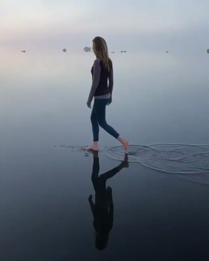 papataci giphyupload GIF