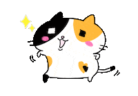 Yajiro cat excited exciting maya Sticker