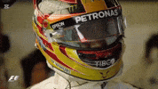 Lewishamilton Wentpeo Formula1 F1 Hamilton GIF