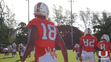 miamihurricanes sports dancing college ncaa GIF