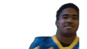 football lol Sticker by Delaware Blue Hens