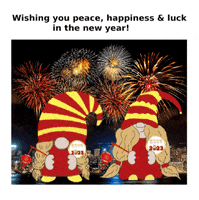Chinese New Year Gnome GIF