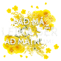 Flower Leika Sticker by Krónan