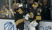 Happy National Hockey League GIF by NHL