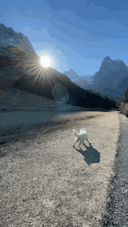 ehdgus1211 giphyupload GIF