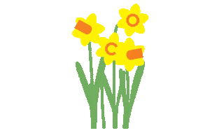 Daffodils Daffs Sticker by National Trust