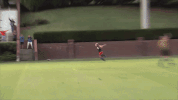 celebration lauren GIF by Carson-Newman Athletics