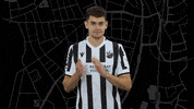 Svs1916 GIF by SV Sandhausen