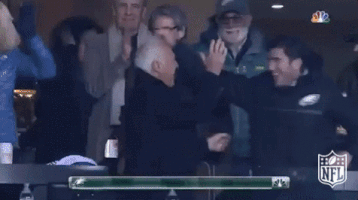 philadelphia eagles football GIF by NFL