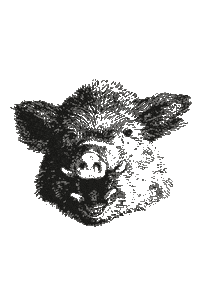 Wildesusi Sticker by GEILE WEINE