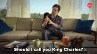 Should I Call You King Charles?