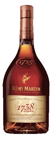 Party Cheers Sticker by Rémy Martin