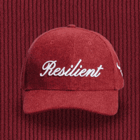 Gary Vaynerchuk Hat GIF by VeeFriends