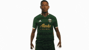 Celebrate Portland Timbers GIF by Timbers