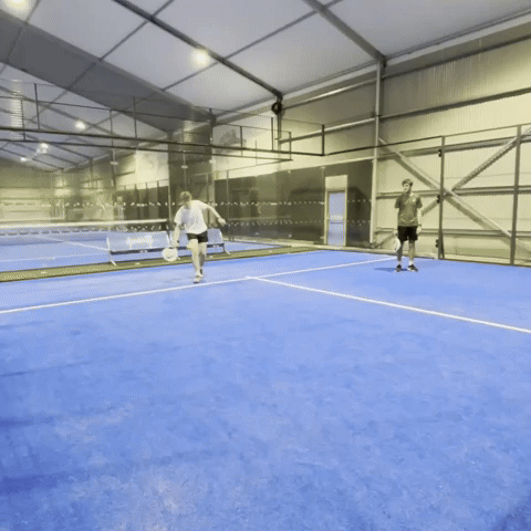 homiegreels meme fail padel partner GIF