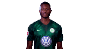 france football Sticker by VfL Wolfsburg