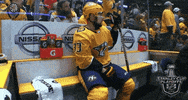 happy ice hockey GIF by NHL
