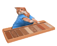 Cat Beauty Sticker by Etudehouse_official