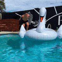 Pool Party Swimming GIF