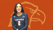 C-N Volleyball GIF by Carson-Newman Athletics