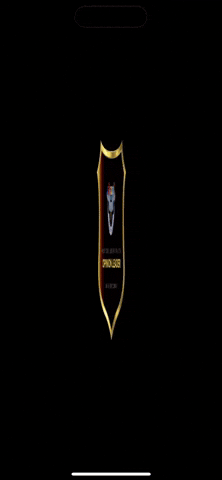 Skool Fdsc GIF by powwow touchtennis