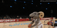 jimmy fallon basketball GIF by The Tonight Show Starring Jimmy Fallon