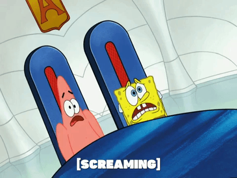 season 5 GIF by SpongeBob SquarePants
