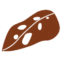 Plant Leaf Sticker