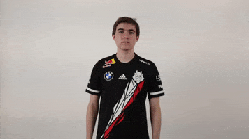 Please Dont Rocket League GIF by G2 Esports