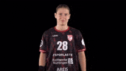 Hbf GIF by Handball Bundesliga Frauen