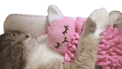 Goodnight Babe GIF by Alissandra