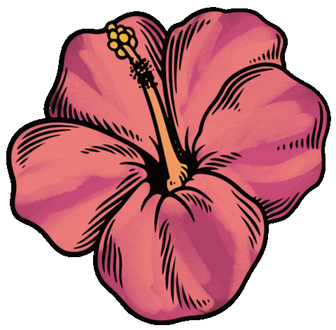 Summer Flower Sticker by Decorating Outlet