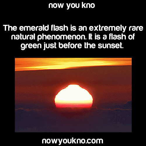 Video gif. Sun slowly sets. When it's right above the horizon, the top of the sun has a flash of lime green light on it. Text, “Now you know. The emerald flash is an extremely rare natural phenomenon. It is a flash of green just before the sunset. Nowyoukno.com”