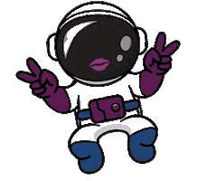 Boogaard rocket va booster raket Sticker