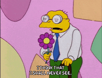 the simpsons episode 24 GIF