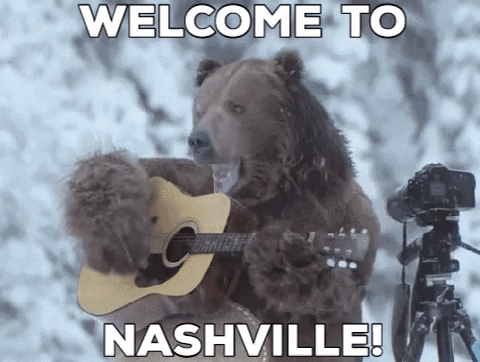 darob-giphy giphygifmaker giphyattribution GIF