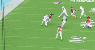 Miami Dolphins GIF by The Undroppables