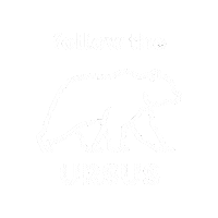 Bear Sticker by ursus adventures