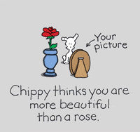 GIF by Chippy the Dog