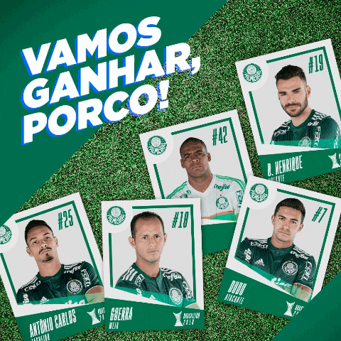 GIF by SE Palmeiras